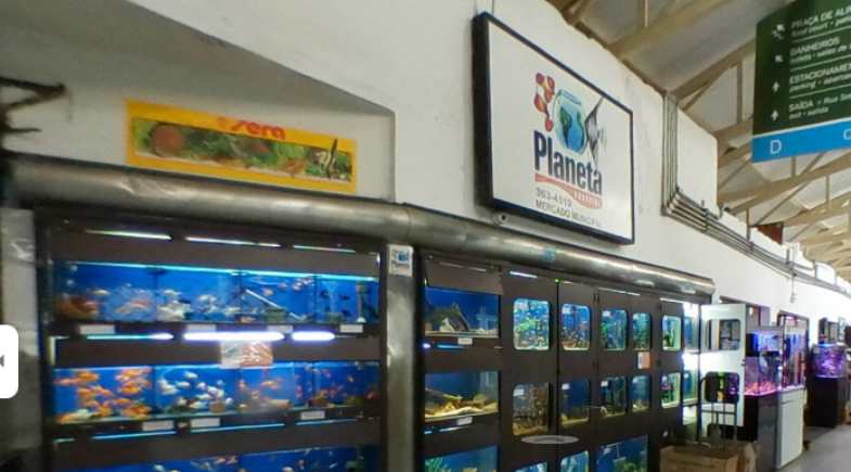 Planeta Aquários tudo para aquário curitiba