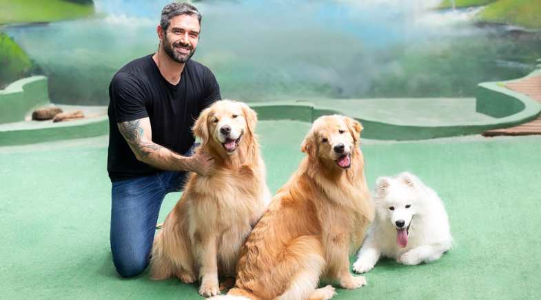 Fusão entre Petz e Cobasi impõe desafios importantes ao pequeno varejo