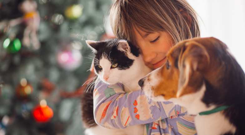 Veterinária: inovação e foco no bem-estar e longevidade do pet
