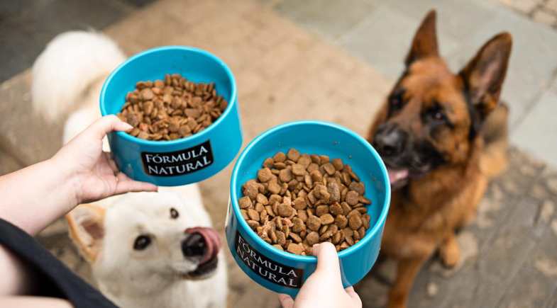 Premiumização, alimentação funcional e sustentabilidade ganham ainda mais força no mercado pet food em 2026