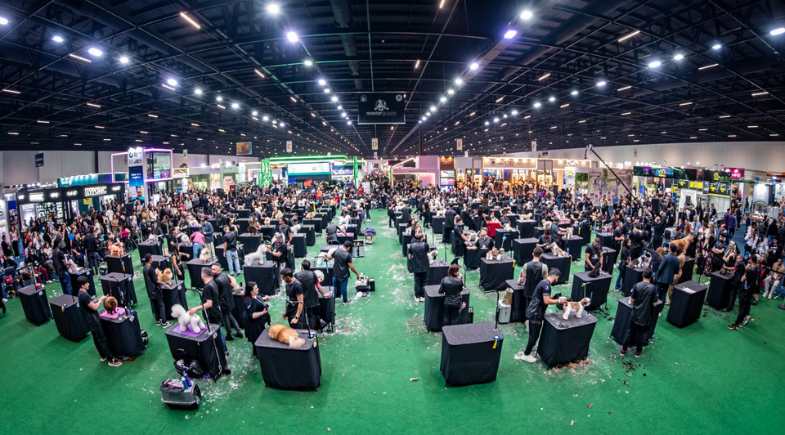 MasterGroom Brasil celebra 10 anos de competição