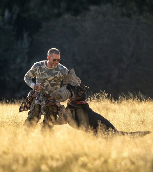 Brad Pitt fala sobre treinamento com o cachorro Uber em novo featurette de ‘Coração Selvagem’