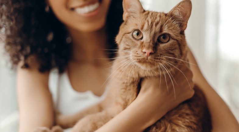 Brasil lidera disposição para adotar pets, mas informação ainda é desafio para uma adoção responsável